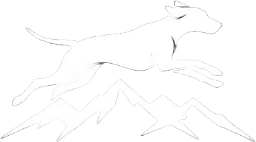Minimalist line art outline version of the Trail Dog brand logo featuring an athletic dog leaping over a jagged mountain range.