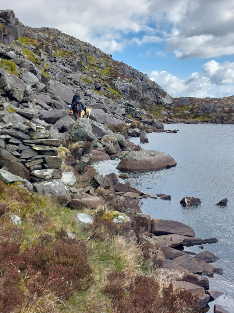 A backpacker using trekking poles and a yellow dog navigate a steep boulder field right along the edge of a mountain lake on the Rhinogydd Traverse, Wales.