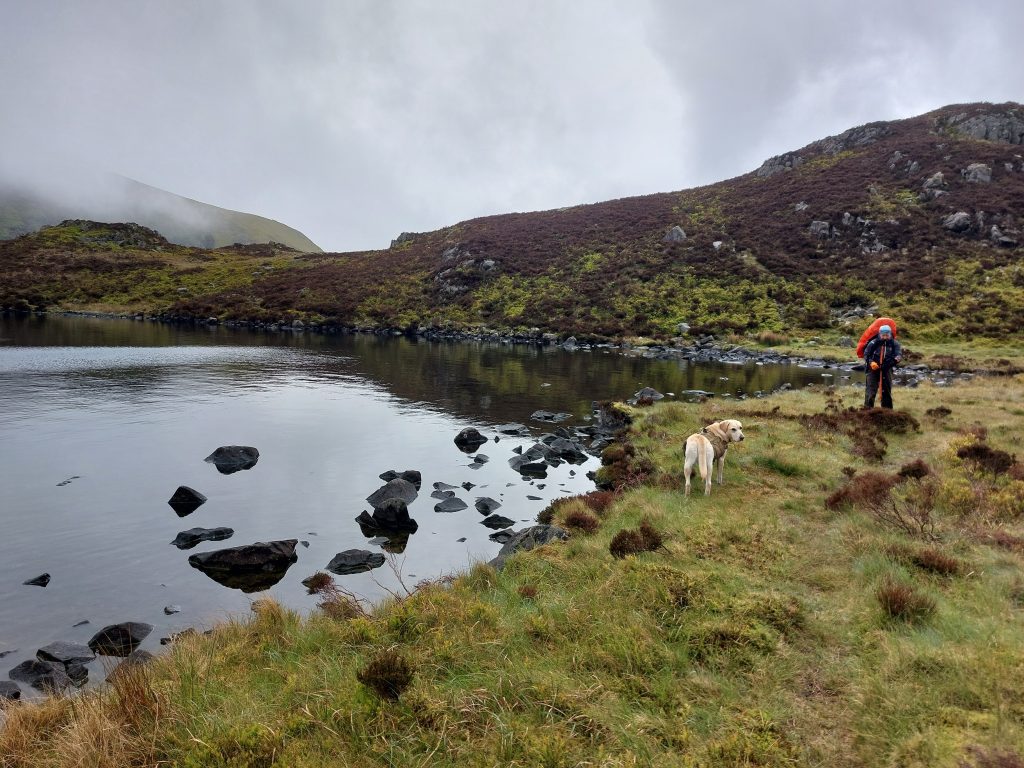 Hiker with an orange backpack cover and yellow dog Poppy standing on the grassy shore of a mountain tarn lake under misty skies in Wales.