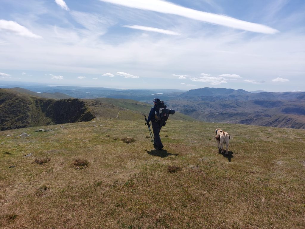 How I Built My Dog’s Fitness for All‑Day Days Out