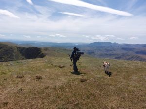 How I Built My Dog’s Fitness for All‑Day Days Out