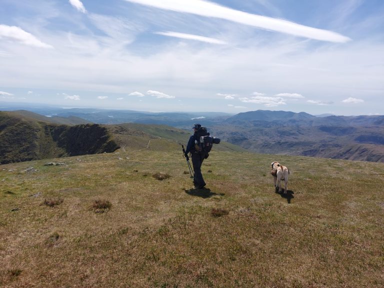 How I Built My Dog’s Fitness for All‑Day Days Out