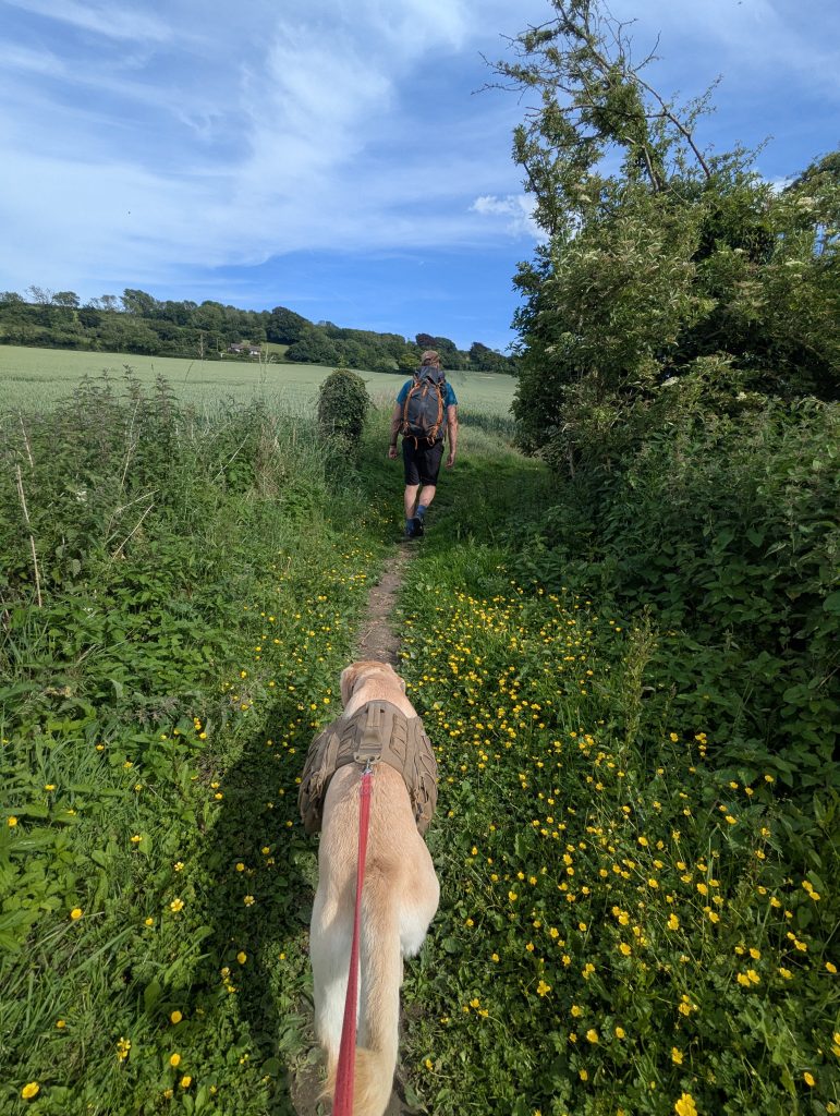 A picturesque green field crossing on the Elham Valley Way near Lyminge.