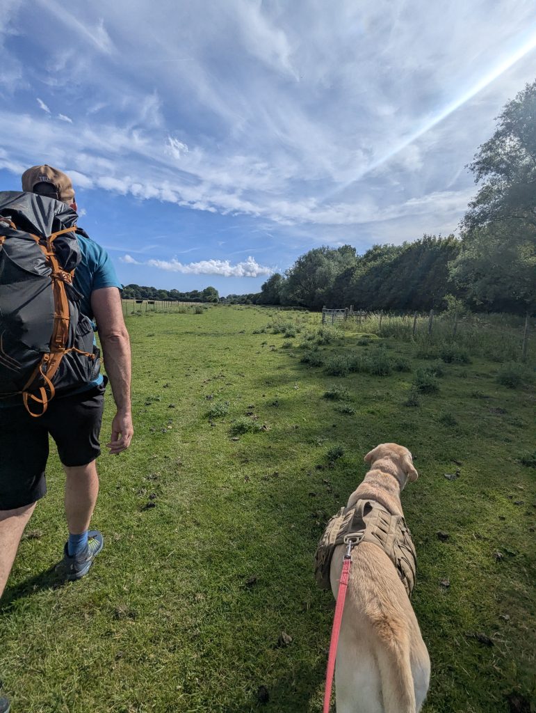 A hiker with a backpack walking determinedly along a flat countryside path.