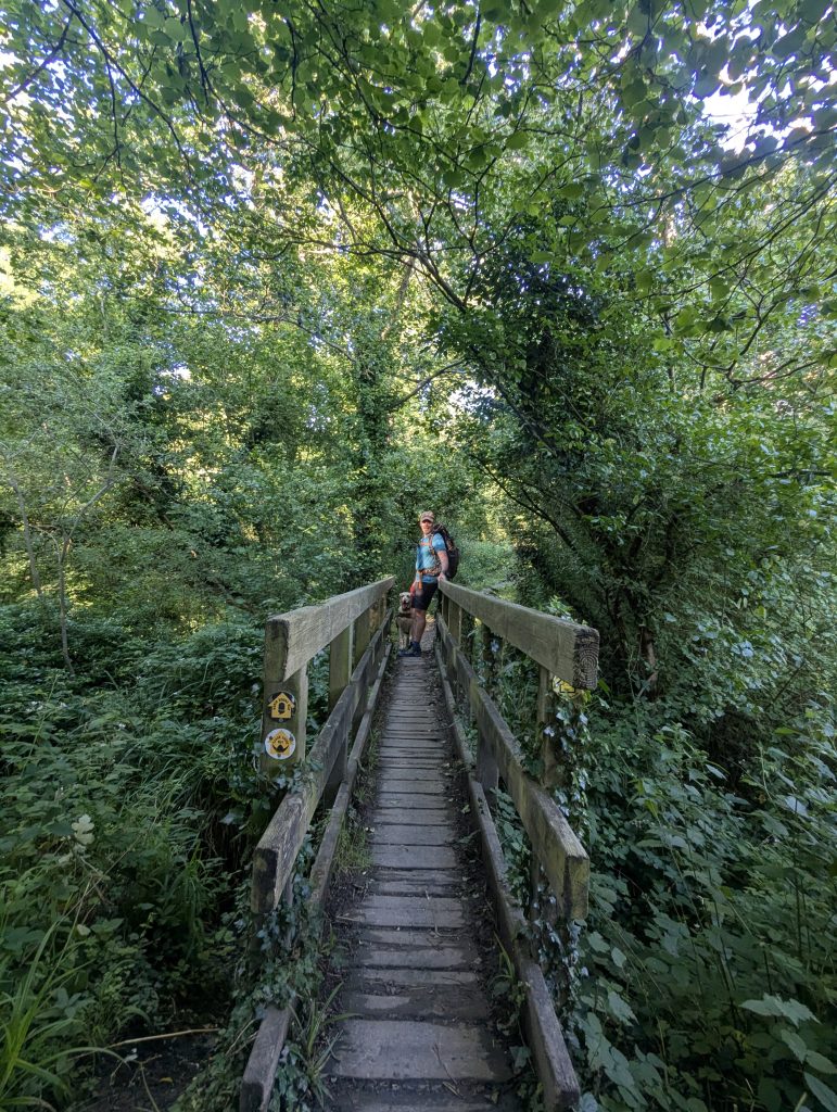 A wooden fingerpost showing the junction between the Elham Valley Way and the North Downs Way.
