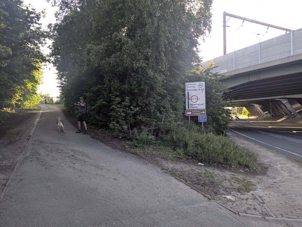 A subtle, unmarked paved side road branching off from the main walking path.