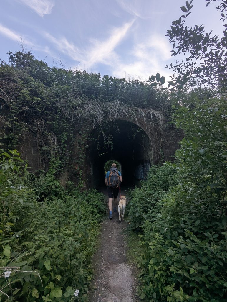 A dark, brick-lined underpass tunnel cutting beneath a road.