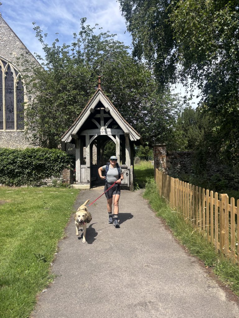 The historic stone architecture of St Mary's Church standing tall in Bishopsbourne.
