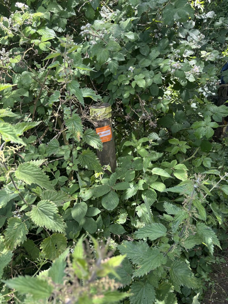 A clear wooden signpost indicating the direction of the Elham Valley Way.