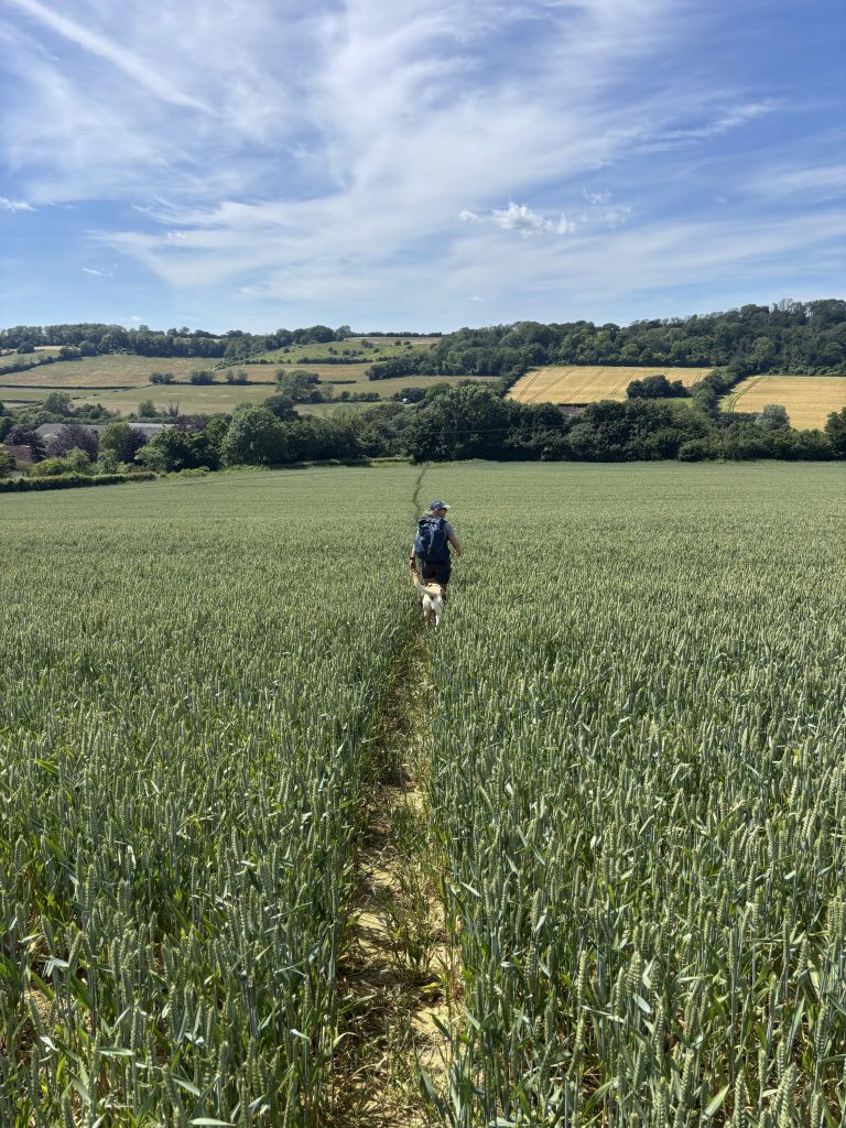 A wide, sloping agricultural field with a trail leading downwards toward a village.
