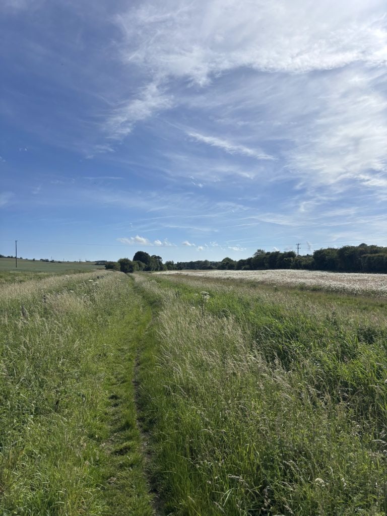 A backpacker walking away down a dirt path surrounded by lush summer hedgerows.