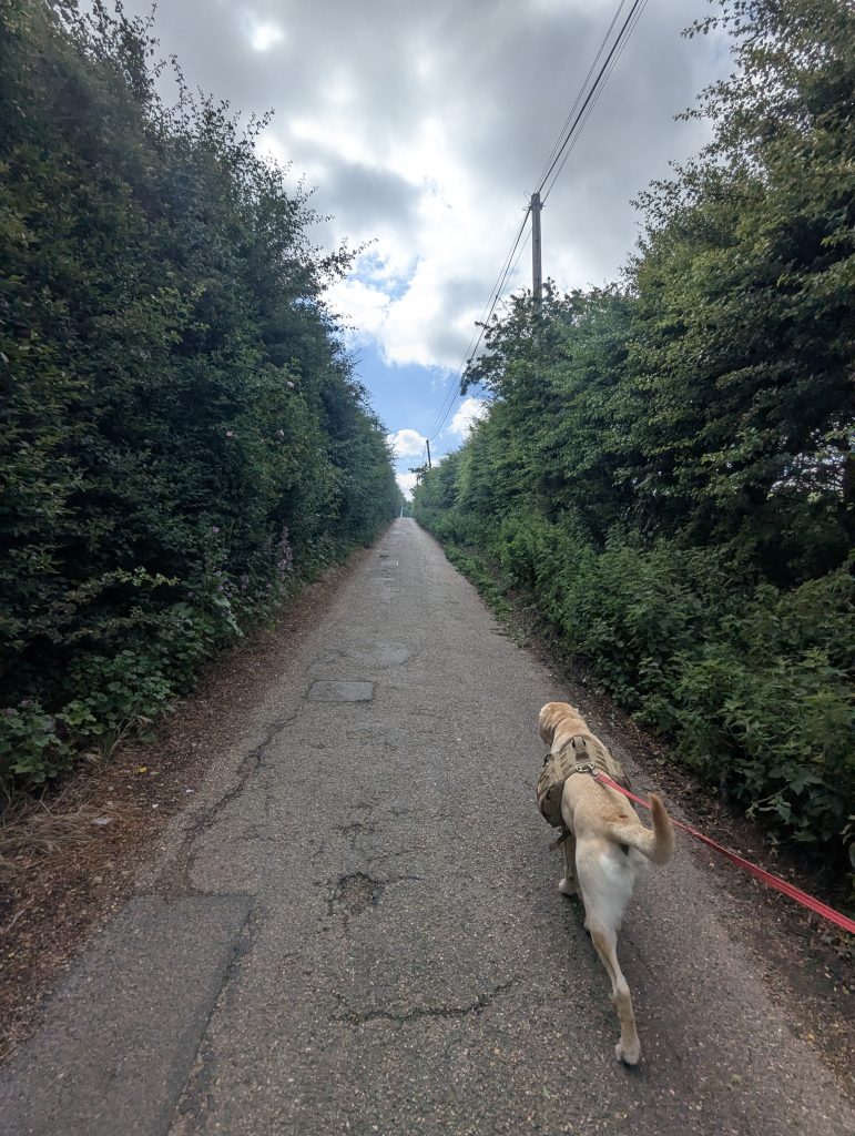 A flat, paved tarmac walking path stretching out toward Patrixbourne under a clear blue sky.