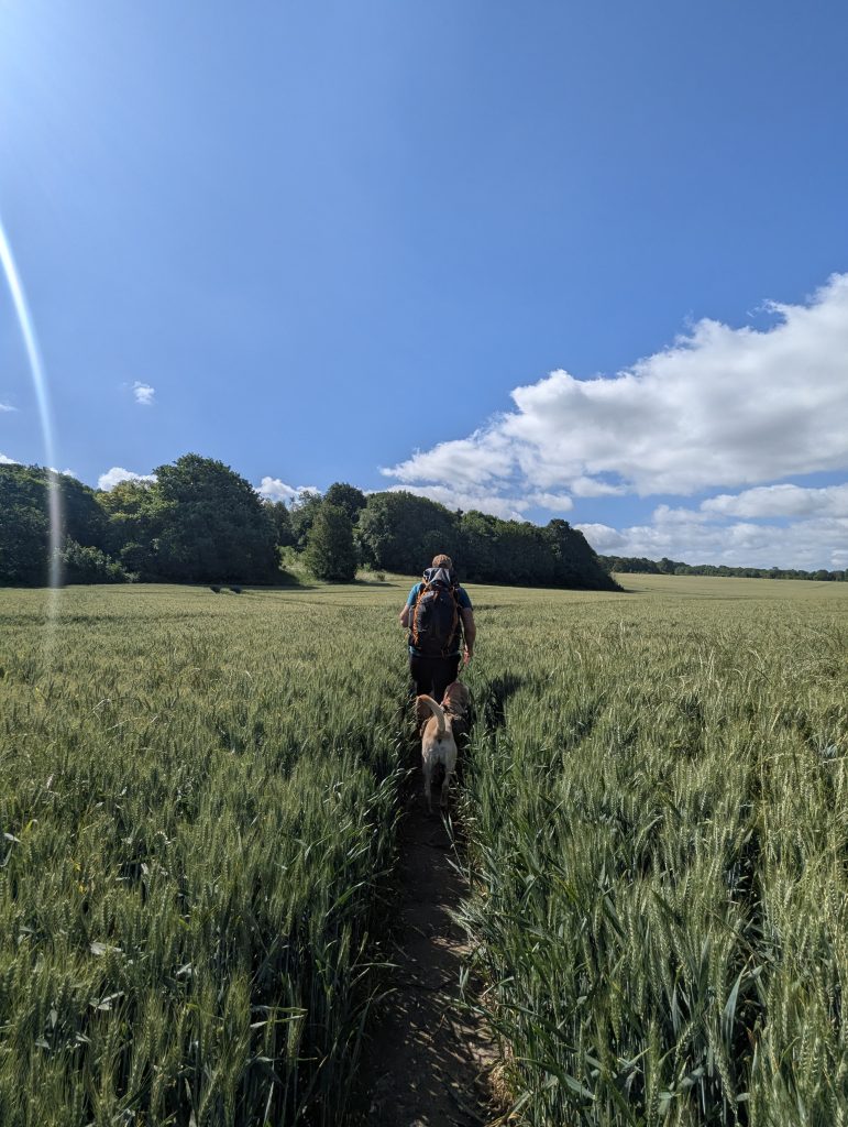 A vast, green agricultural field with a worn dirt path leading slightly uphill.