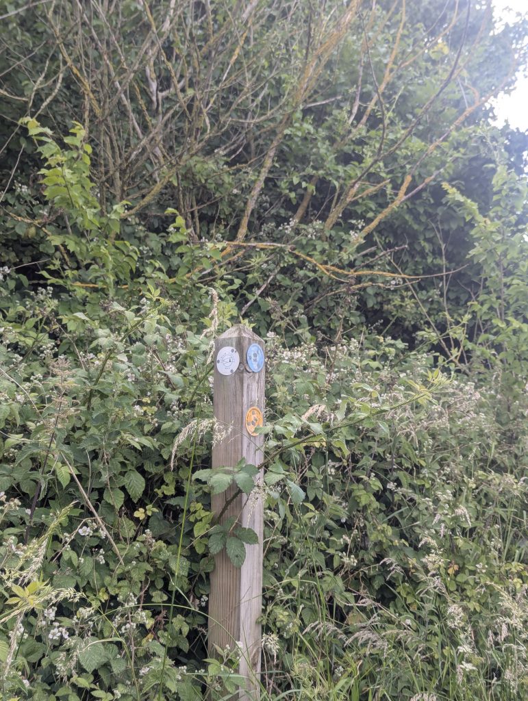 A slightly crooked wooden public footpath signpost standing in tall grass.