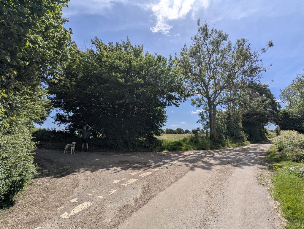 A dirt path curving to the right through the grass after descending South Barham Hill.