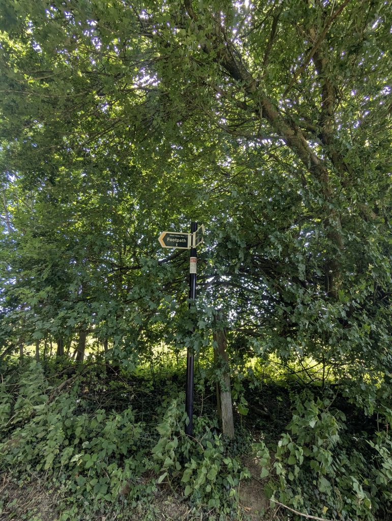 A public footpath marker completely surrounded by thick green nettles and brambles.