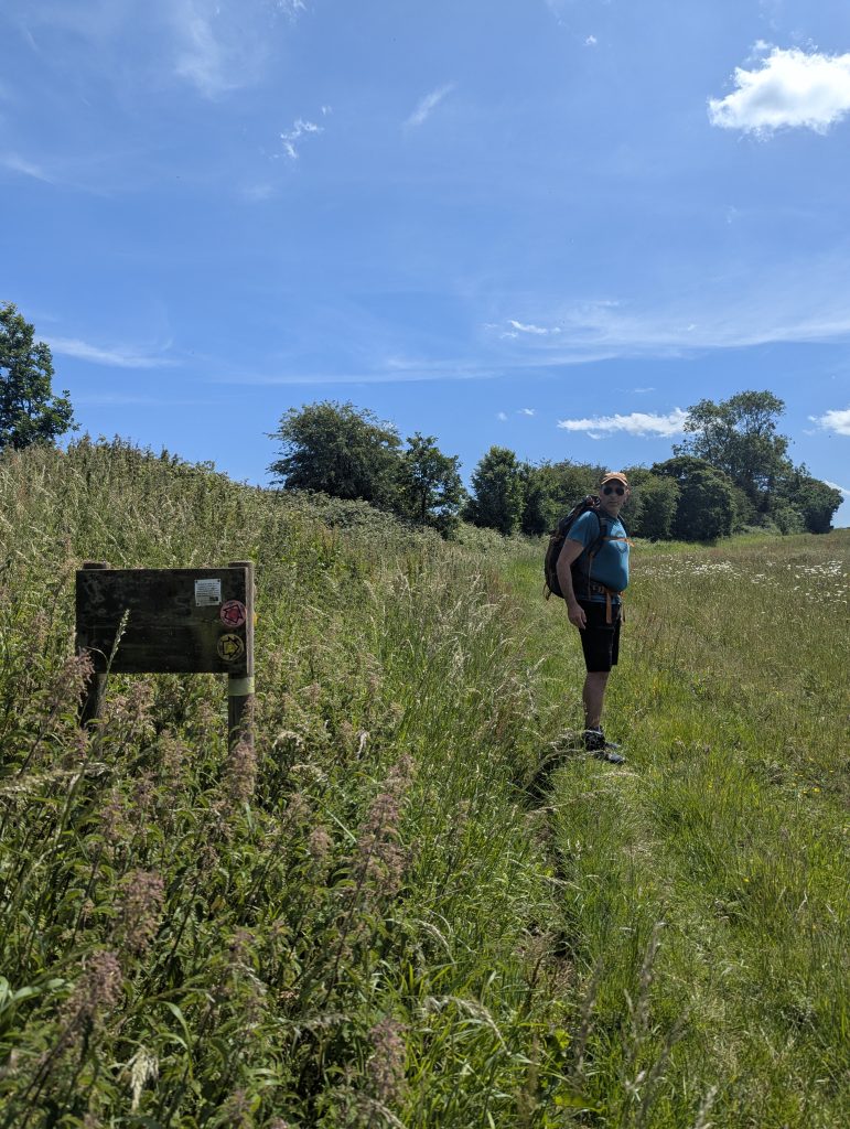 A very narrow, subtle dirt path branching off to the right through long grass.