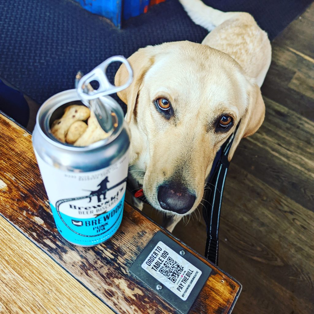 A light-furred dog looks up expectantly from a dark wooden floor toward an open pop-top aluminum can filled with bone-shaped dog biscuits on a rustic wooden pub table next to a black QR code ordering plaque.
