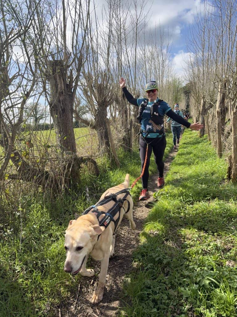 Fit dog Poppy pulling forward dynamically during a structured canicross endurance running session.