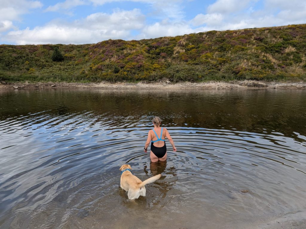 Woman in a swimsuit wading into the dark open water of Crazywell Pool accompanied by a yellow Labrador swimming right beside her.