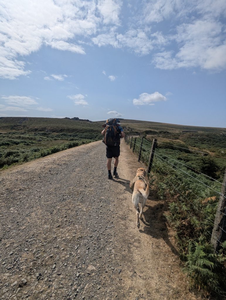 Backpacker and yellow Labrador cross Poppy walking along the flat, gravel surface of the disused Princetown railway line on Dartmoor.