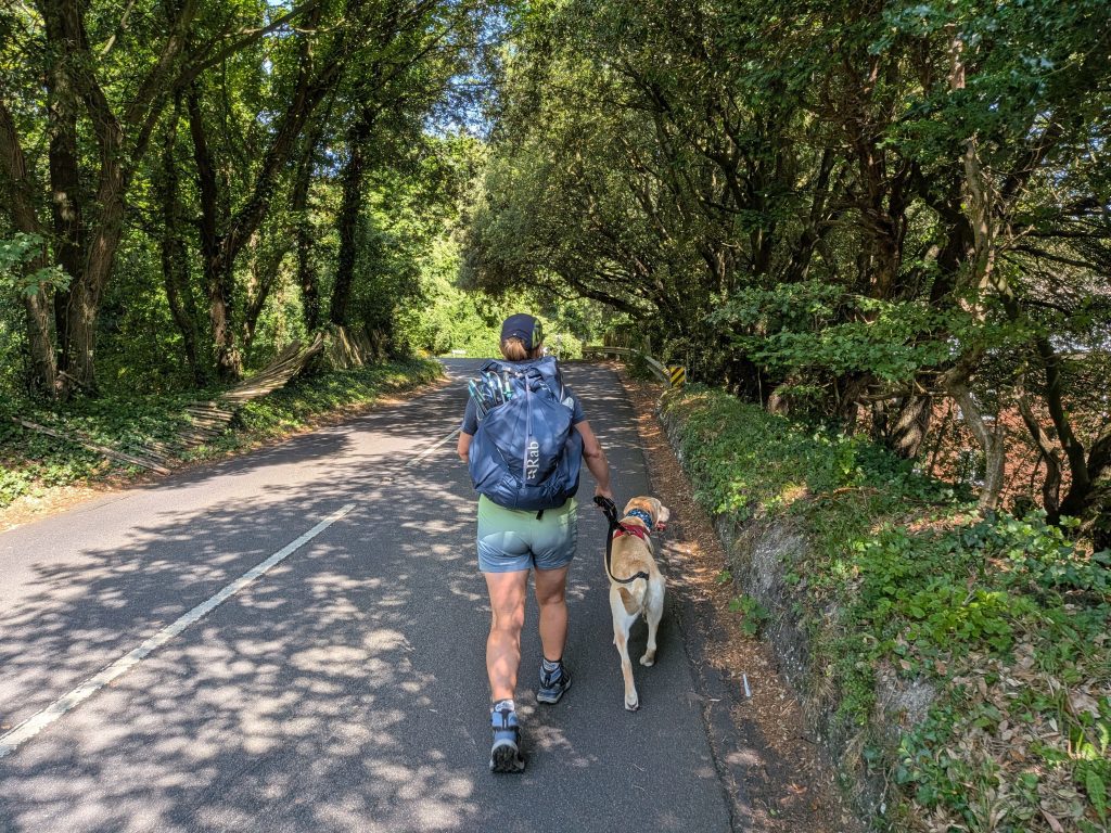 Hiker Syla with a Rab rucksack and trekking poles walking her yellow Labrador cross trail dog Poppy on a short lead down a quiet asphalt road shaded by a dense green tree canopy.