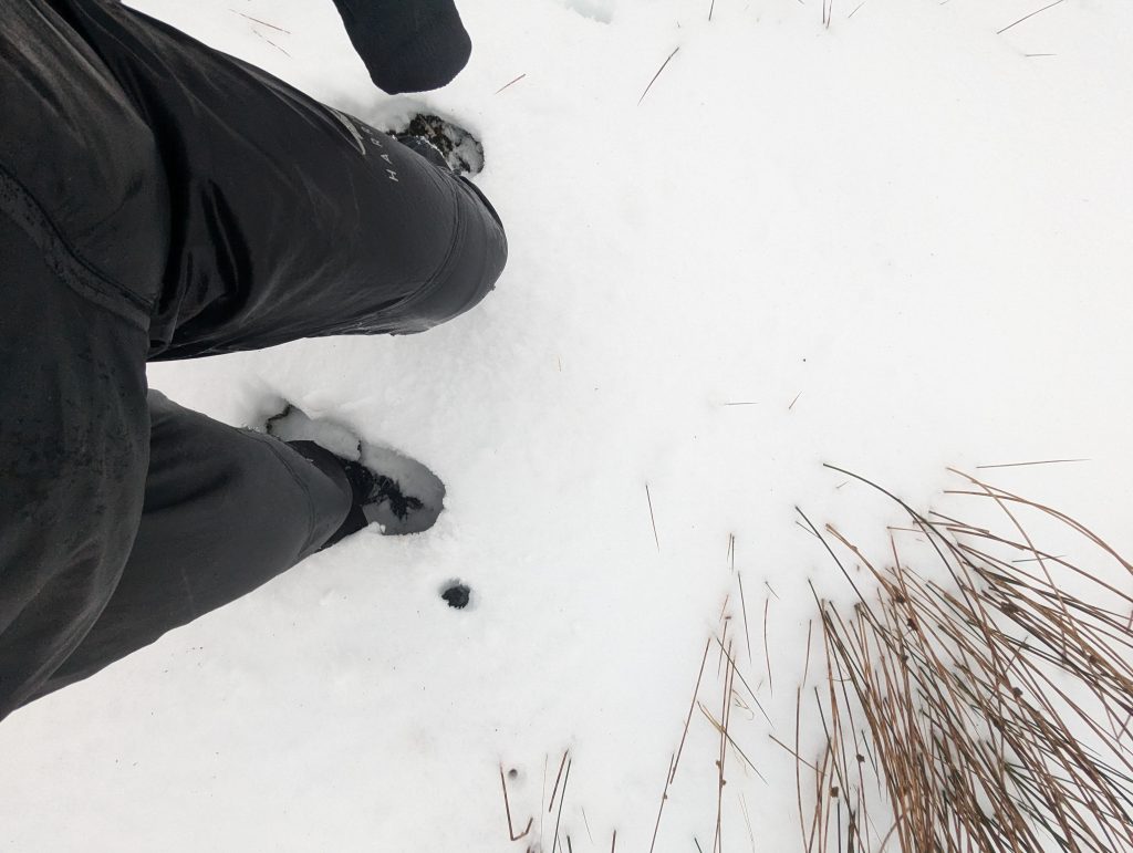 A first-person perspective view looking down at black Harrier Dartmoor waterproof overtrousers being worn while walking through snow. A small silver 'Harrier' logo is visible on the lower leg.