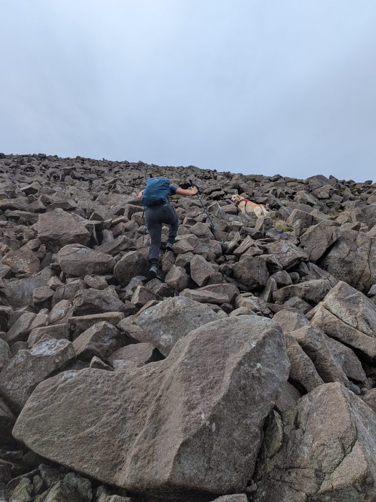 Hiker scrambling up steep boulder field on Beinn na Caillich with trekking poles and dog wearing Inov-8 Roclite Pro Mid boots.