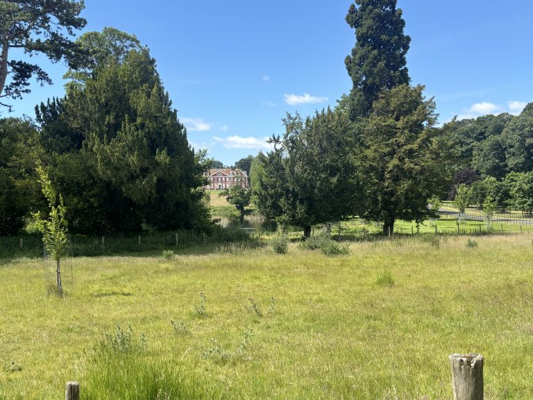 Rolling green countryside in Kent with mature trees and a distant view of a large, red-brick manor house under a clear blue sky, seen from a walking path.