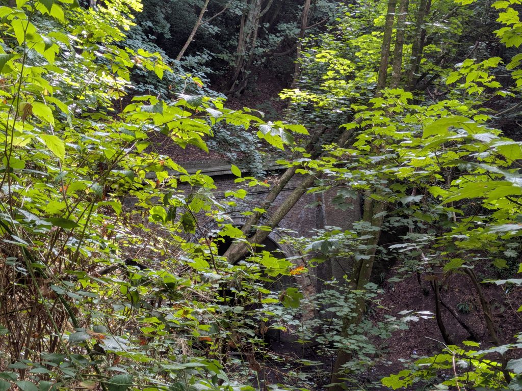 An old, arched brick railway tunnel entrance partially hidden by lush green woodland foliage and fallen tree branches.
