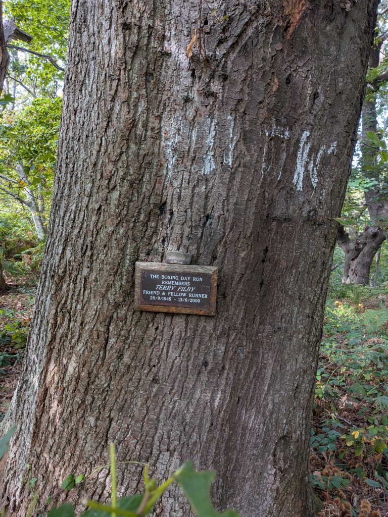 A small wooden and metal memorial plaque attached to the trunk of a large, rough-barked oak tree, reading 'The Boxing Day Run Remembers Terry Filby'.