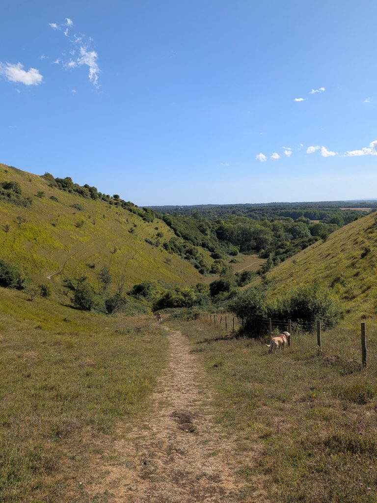 Looking down the steep, dramatic dry valley of the Devil's Kneading Trough on the Wye Downs walking route.