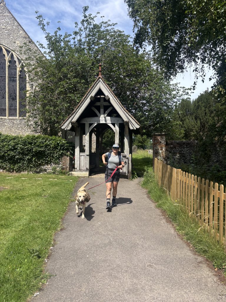 A female hiker walking her yellow Labrador on a lead through the wooden lychgate of a historic stone church in Kent.