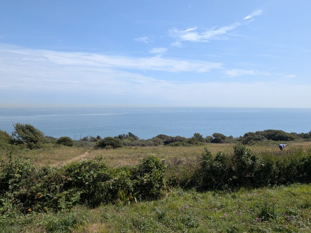 A sweeping view of the English Channel from a grassy clifftop, looking towards the faint horizon of the French coast.