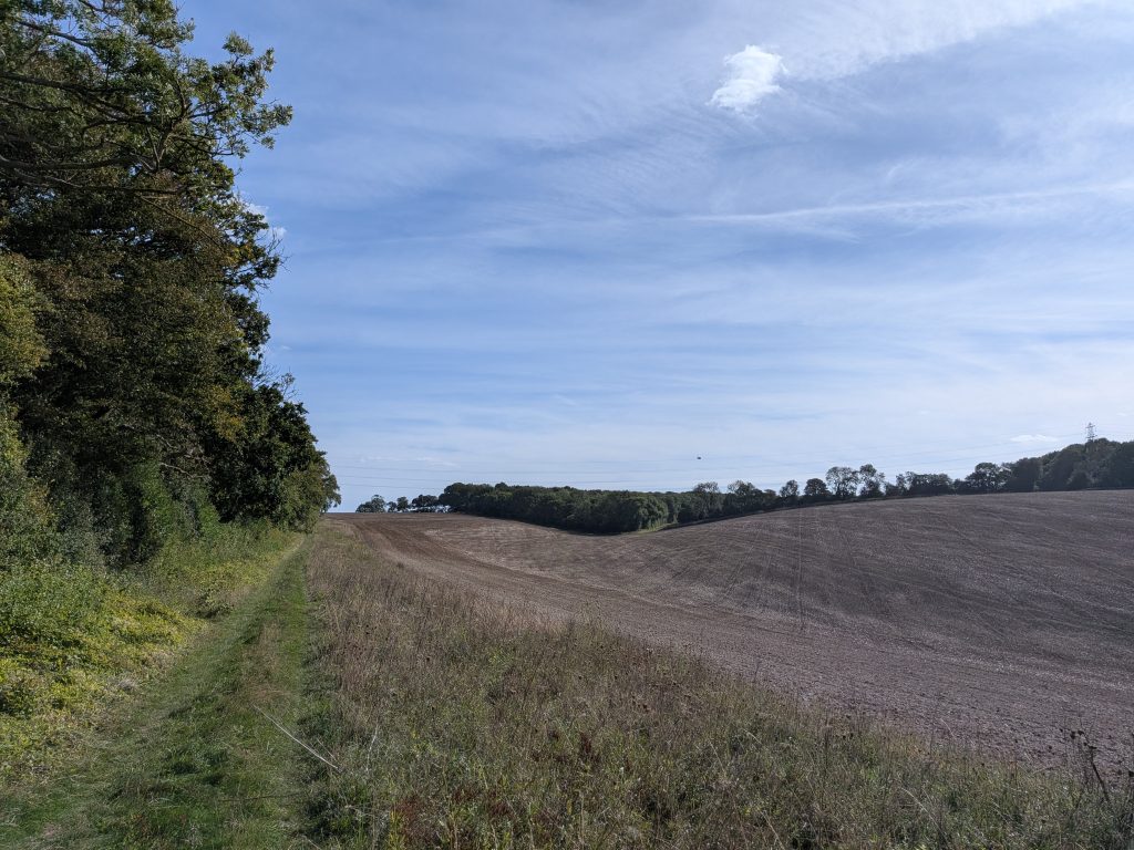 Grass footpath running along woodland edge and wide ploughed agricultural field under a clear blue sky in Kent