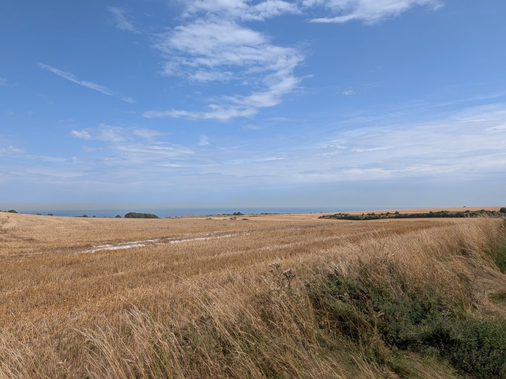 A wide landscape view of golden, harvested wheat fields stretching out towards the blue waters of the English Channel.