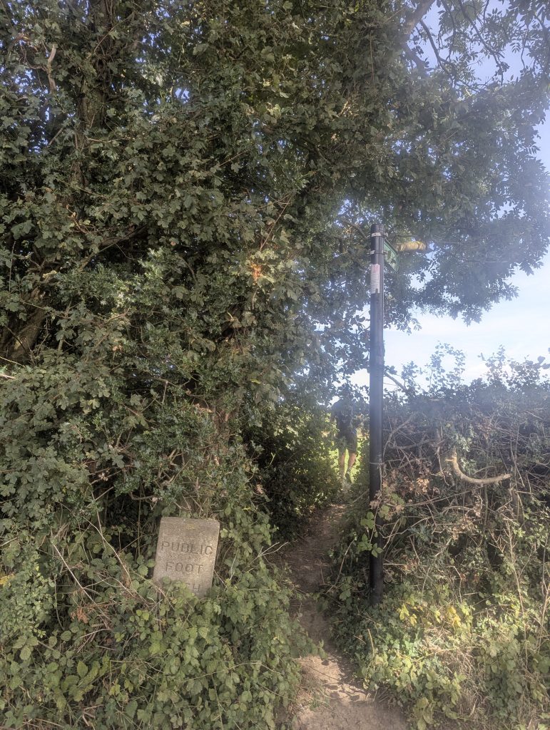 Historic stone public footpath marker nestled in hedgerow leading onto a quiet trail in the Kent Downs
