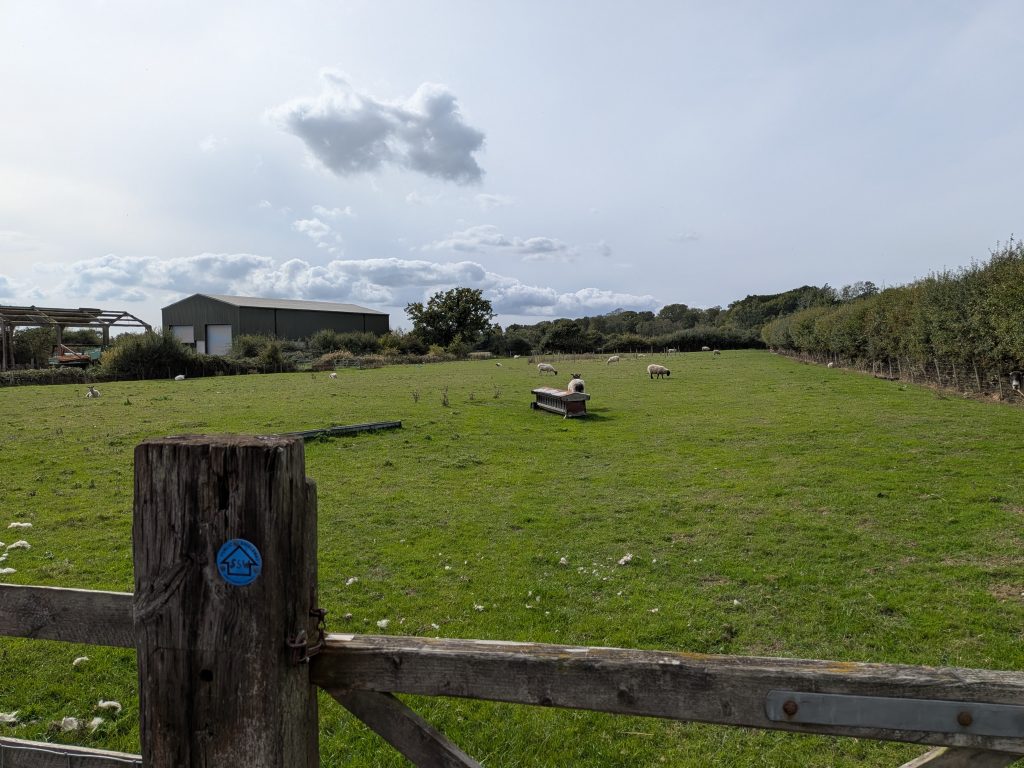 A weathered wooden gate post bearing a blue Kent County Council public bridleway marker, framing a large green pasture dotted with grazing sheep and a distant farm building.