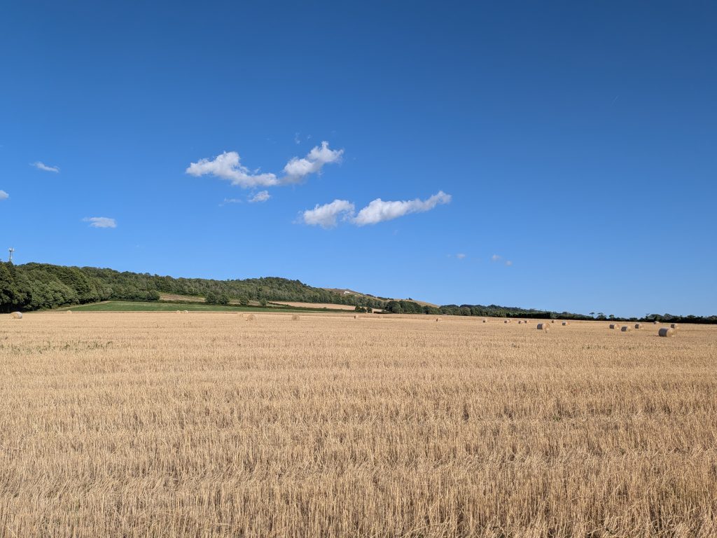 Golden harvested wheat fields with the white chalk carving of the Wye Crown visible on the distant hillside.